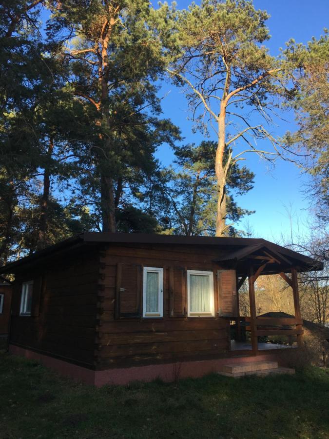Sosnowy Domek Serpelice Dış mekan fotoğraf